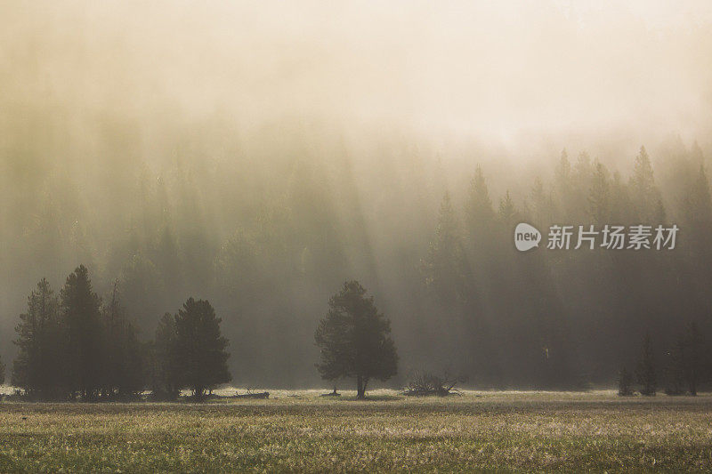 多雾的早晨