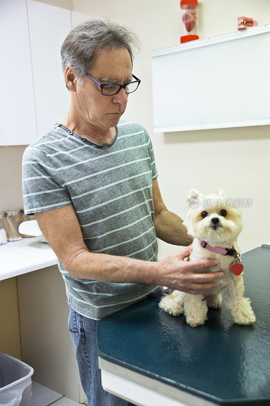 真人兽医为狗狗做年度健康检查
