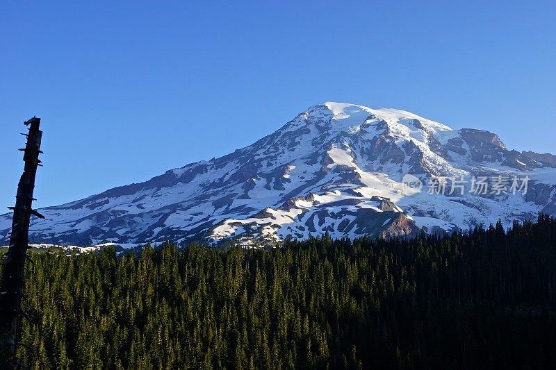 雷尼尔山