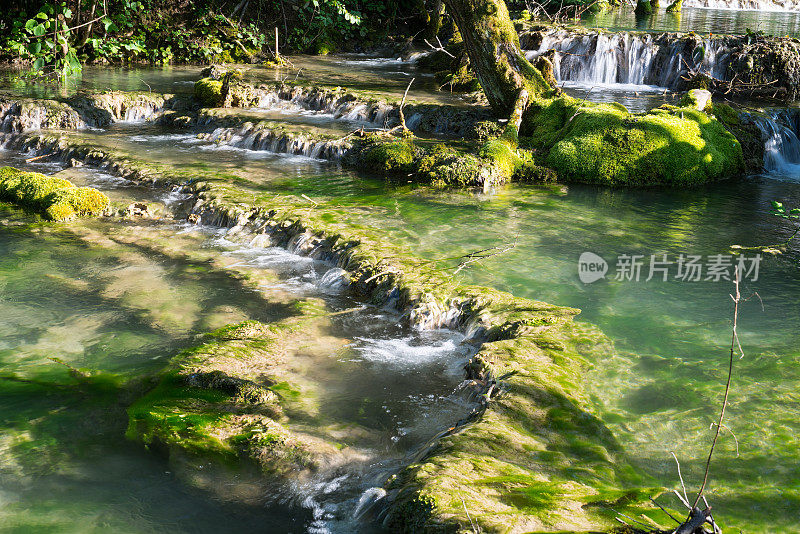 森林流