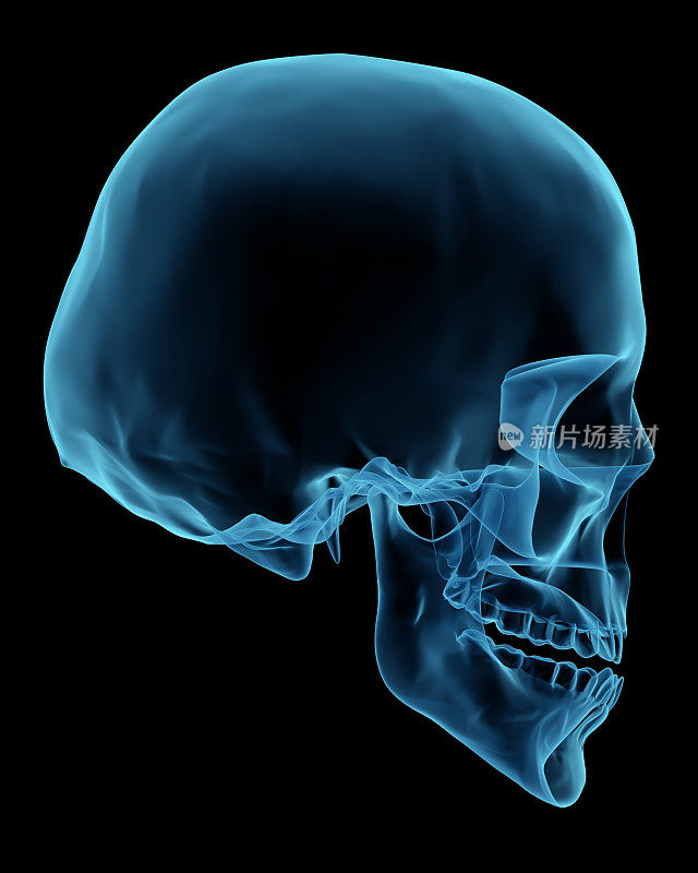 3D渲染就像x射线的人类头骨