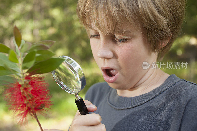 小男孩在科学课上用放大镜研究植物。