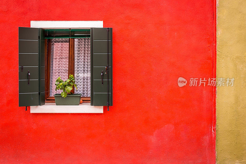 鲜红的墙上窗台上的花。