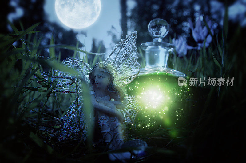 一个神奇的小仙女坐在黑夜的森林里。