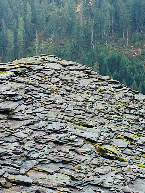 瑞士山村在Graubünden屋顶