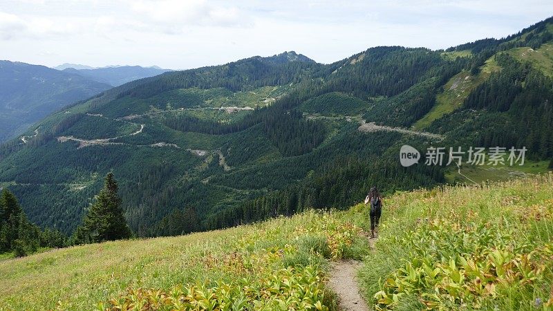 年轻女子徒步穿越野花丛生的草地