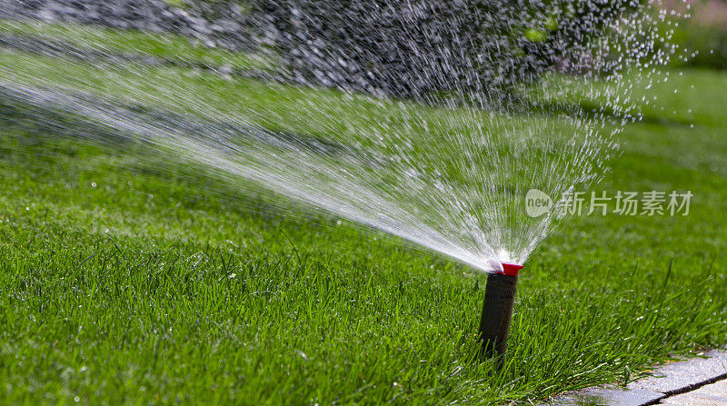 自动洒水系统浇灌草坪在绿色的草的背景