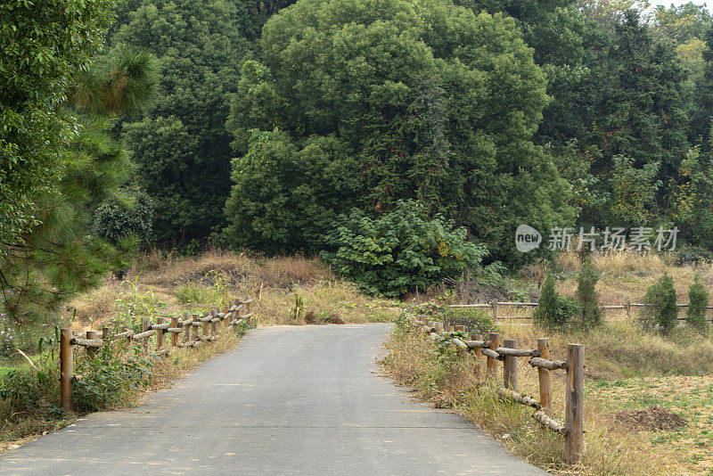 木栅栏和乡村道路