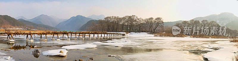 冰冻的河流之间由树木组成的桥的全景