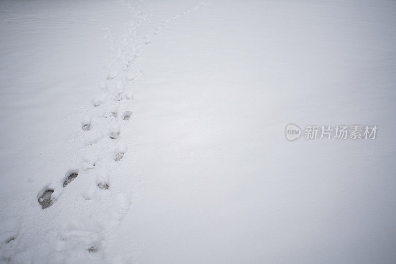 脚印在雪地上