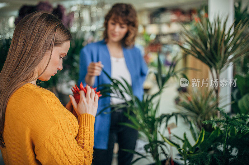 花店里的两个女人