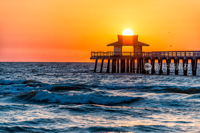 那不勒斯，佛罗里达黄色和橙色红色日落特写在墨西哥湾与太阳在码头木制码头，和许多鸟剪影飞过地平线和蓝色的海浪