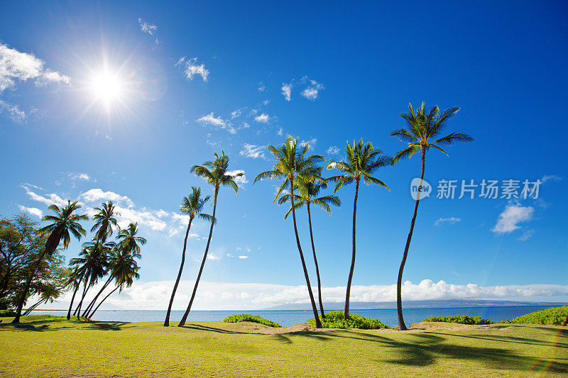 夏威夷莫洛凯岛的海滩