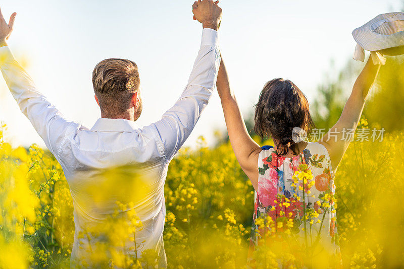 年轻的夫妇张开双臂站在满是黄花的田野里的背影