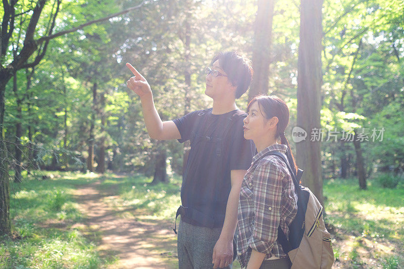 森林徒步旅行的情侣