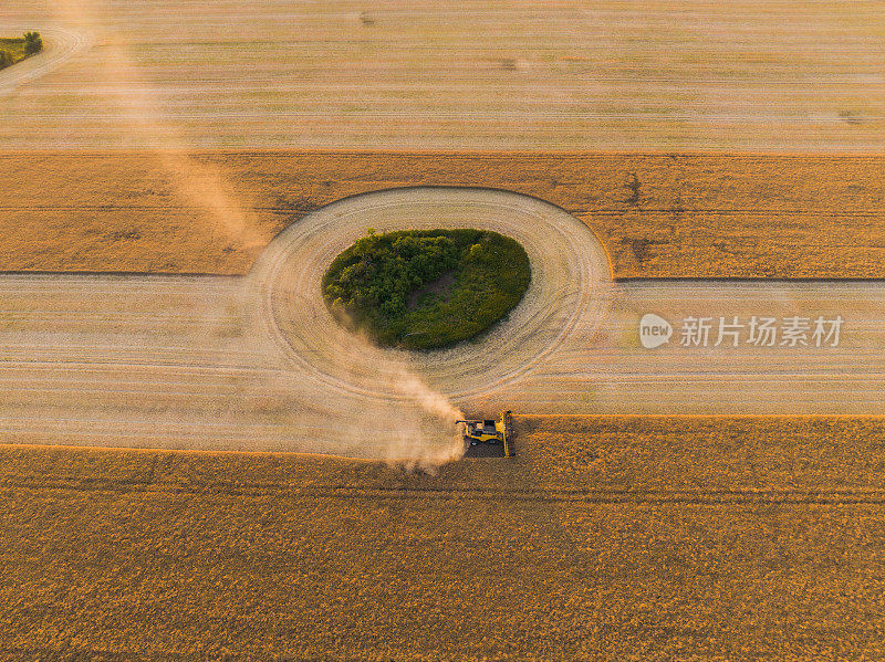 联合收割机在田间工作的鸟瞰图在德国