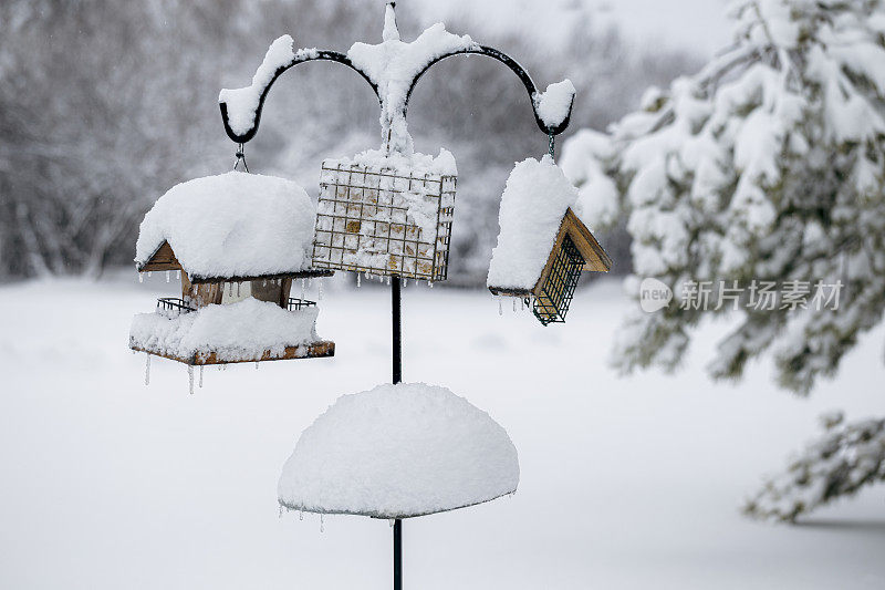 积雪覆盖的鸟类喂食器