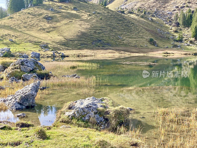 瑞士-伯尔尼州-西伯格州