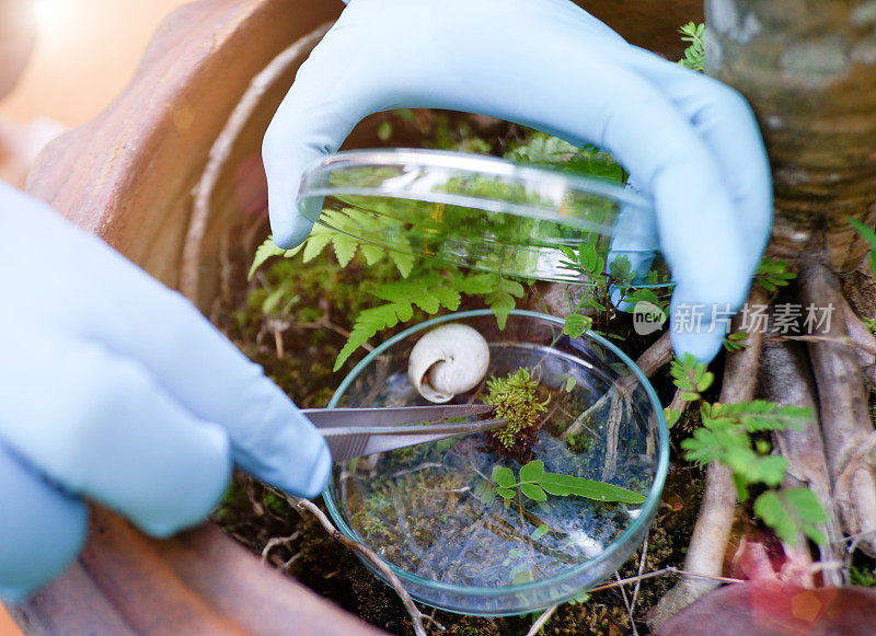 植物科学研究，染色体DNA与遗传，科学家研究。