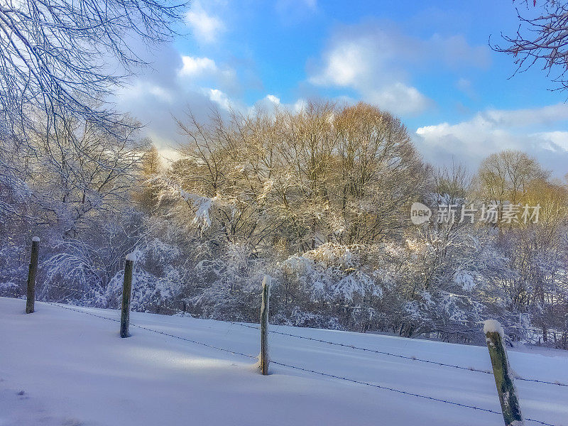 令人惊叹的冬季美景