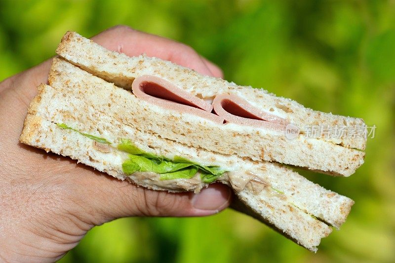 手握火腿和蔬菜三明治-绿色背景。