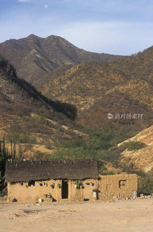 峡谷底部的隐蔽处