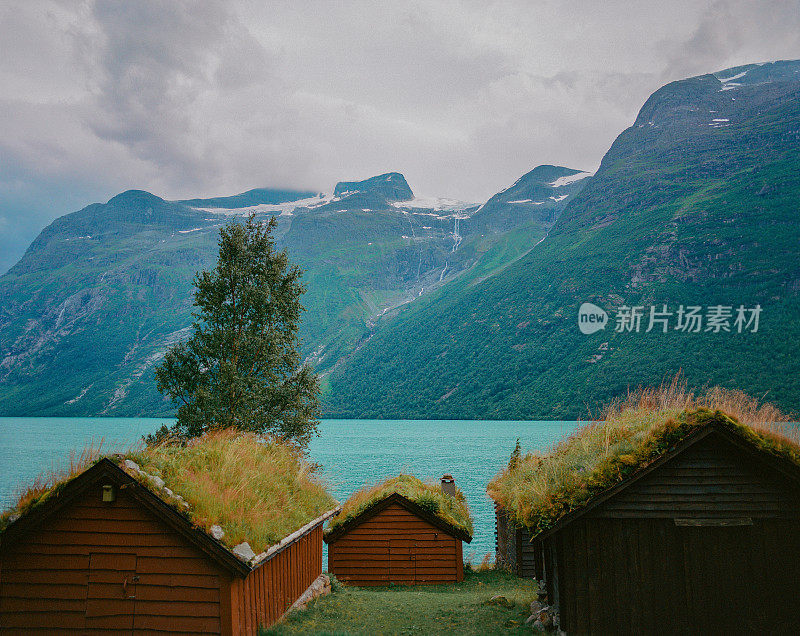 峡湾背景上苔藓中的小屋