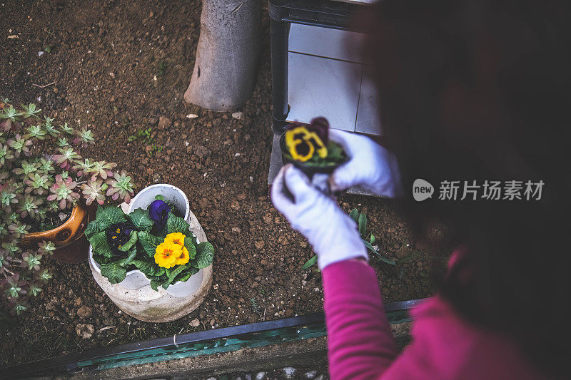 轻轻地把花种在地里