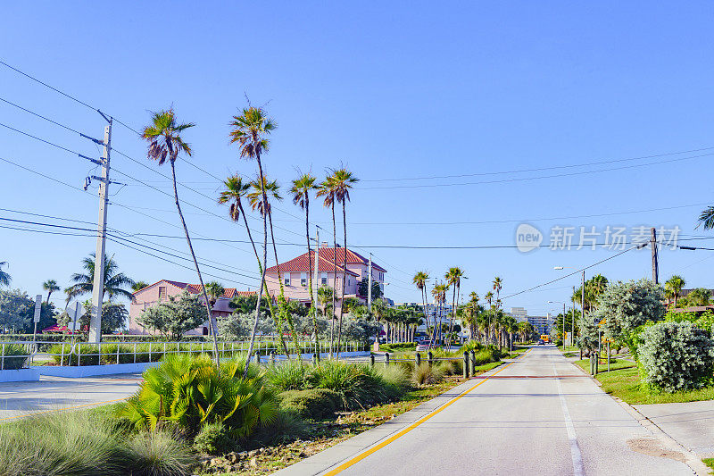 棕榈树排列在佛罗里达州可可海滩的住宅街