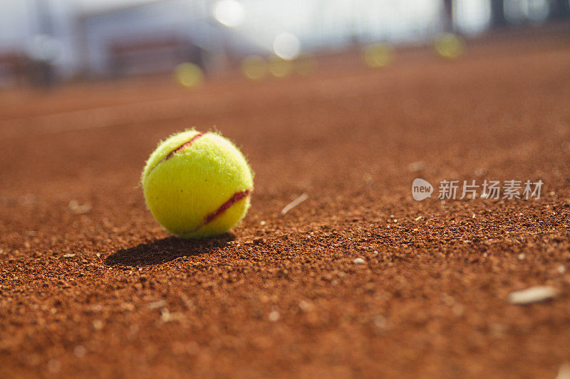 网球站在橙色的地面上