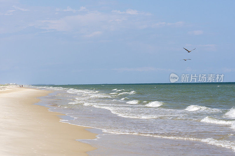 阳光明媚的海滩在低潮的海滩与人们在远处的两个飞行的鹈鹕接近