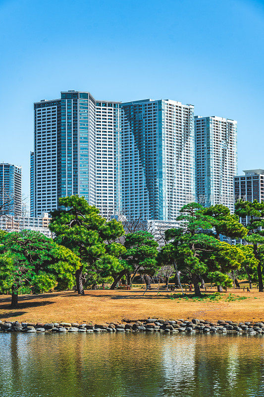 住宅区和蓝天。日本东京