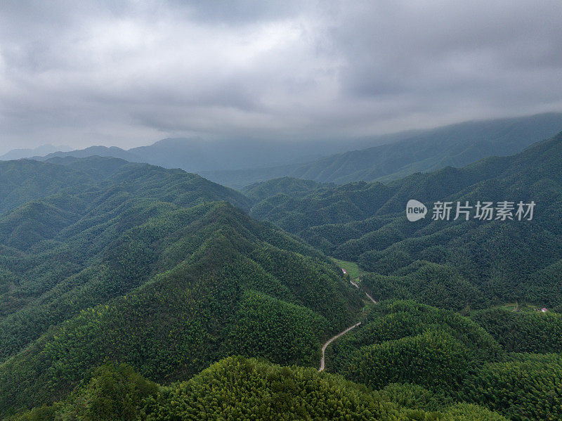 山路在山间