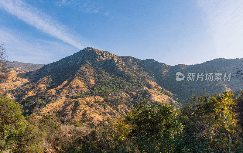 山景-透过红杉和国王峡谷国家公园的景色