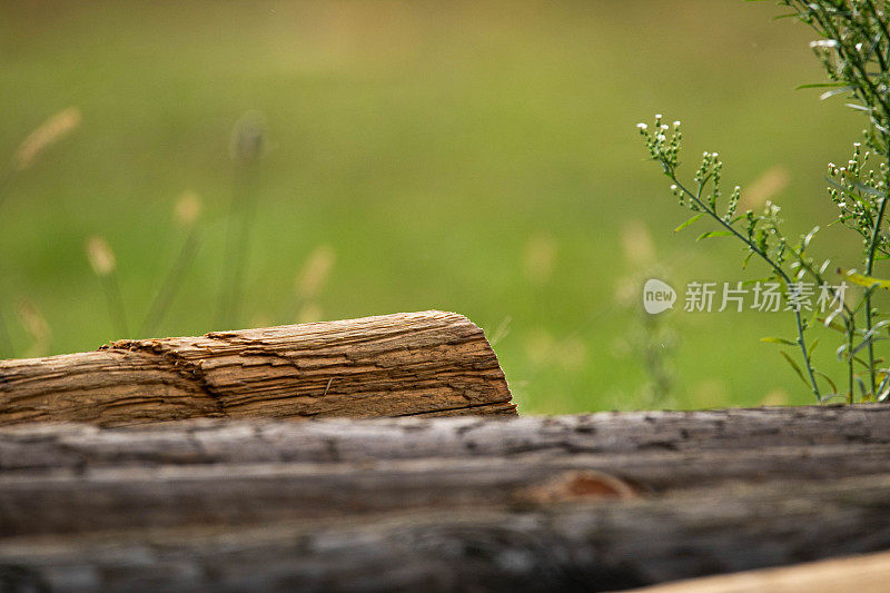 古老的木梁躺在绿色的草地上