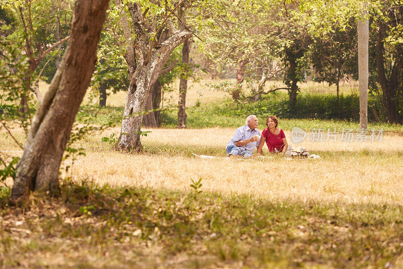 一对老年夫妇正在野餐