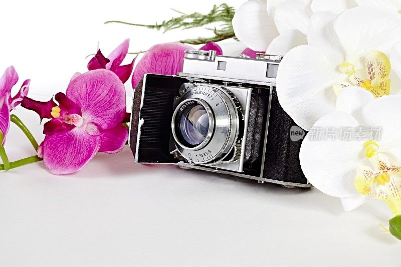 带兰花的老式相机