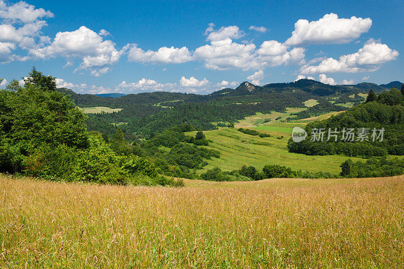 夏天在山脉。Pieniny,斯洛伐克。