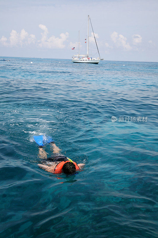 在加勒比海浮潜