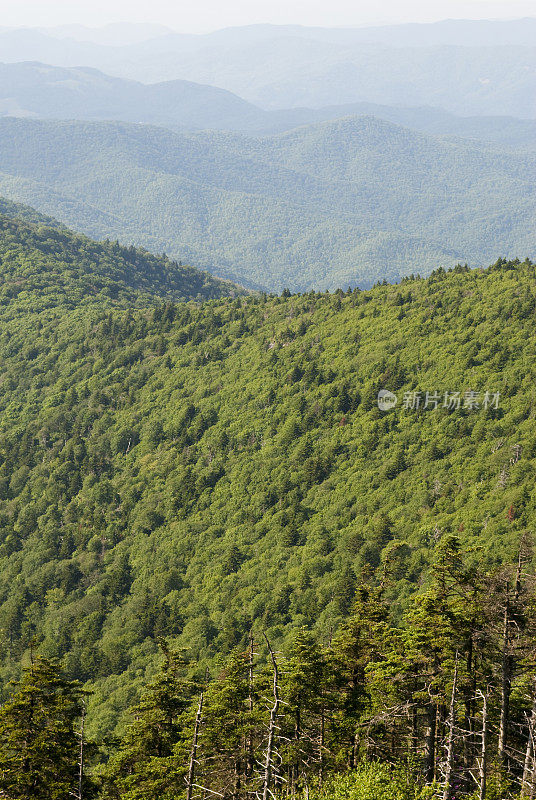 夏天的阿巴拉契亚山脉，从罗安山看