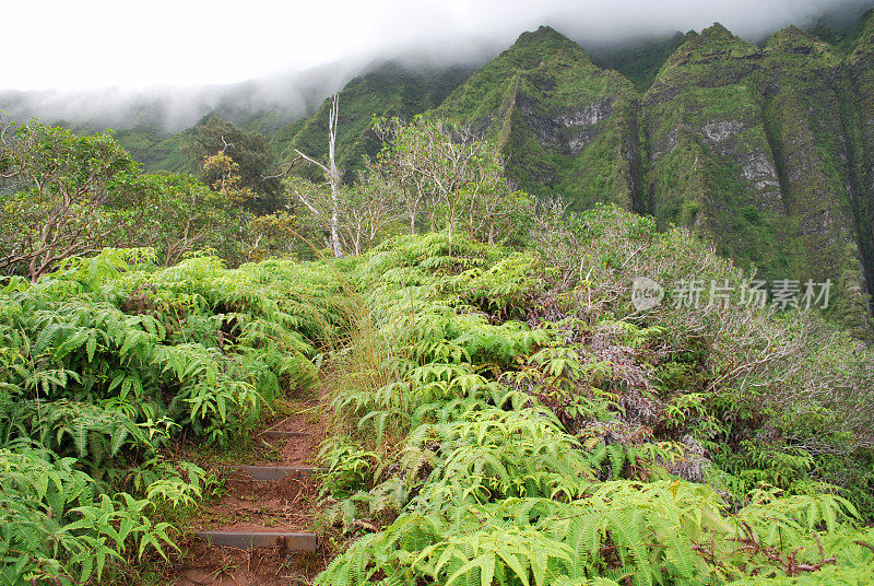 夏威夷群岛的徒步旅行路线