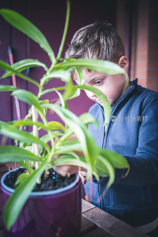 孩子照顾植物