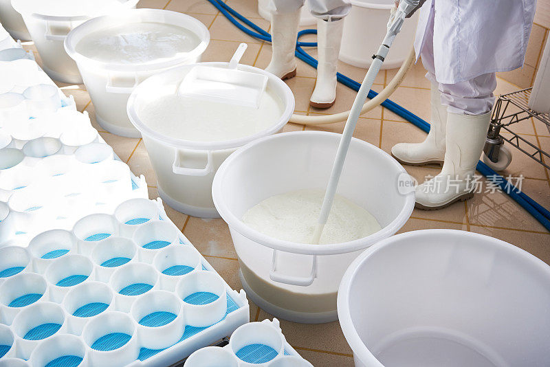 用酵母菌制备用于生产软干酪的牛奶