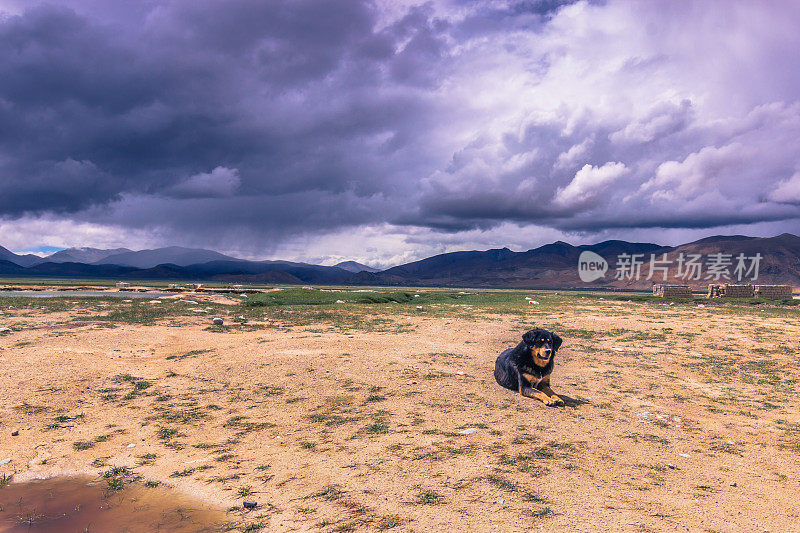 2014年8月15日——西藏乡村的旅游车