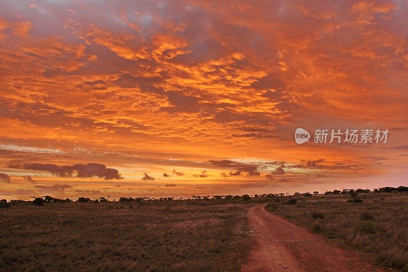 这是澳大利亚西部纳拉伯的一个晚上