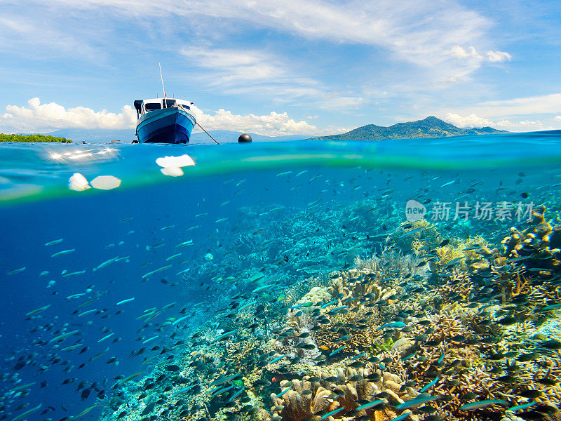 印度尼西亚布纳肯岛附近有许多鱼类的珊瑚礁