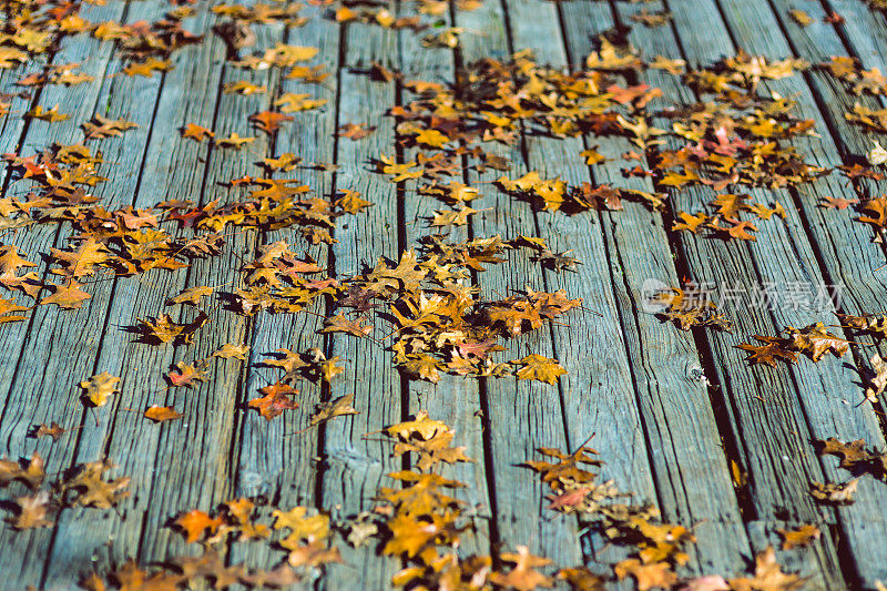 落叶落在木制的背景上