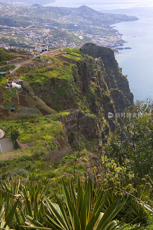 参观马德拉岛:南部海岸地区