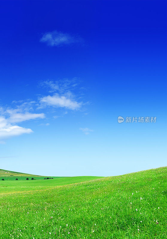 田园诗般的风景-绿色的田野和蓝色的天空