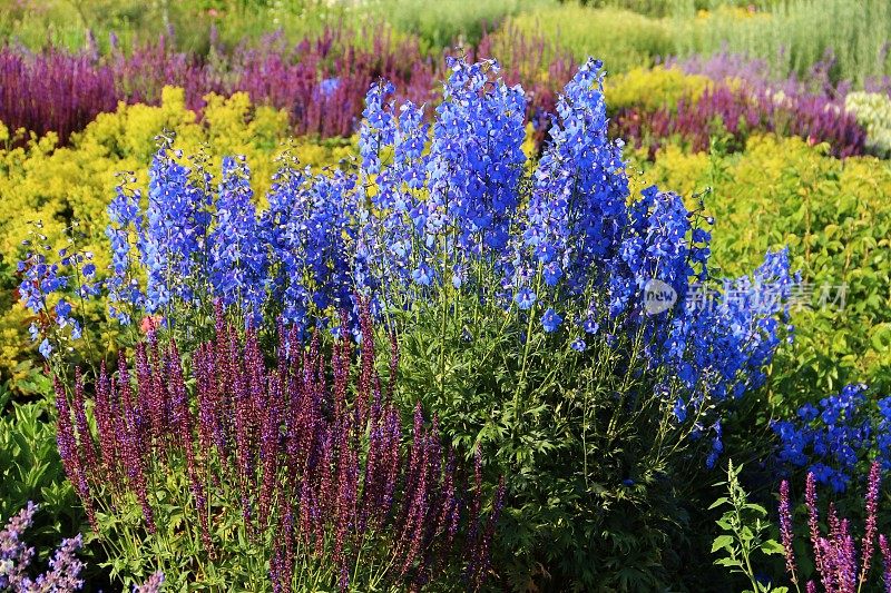 香草花园